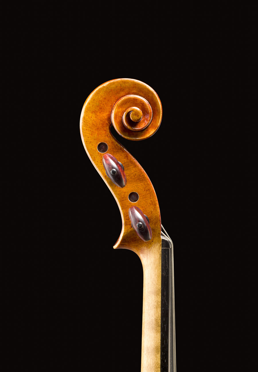 Violino Sublime