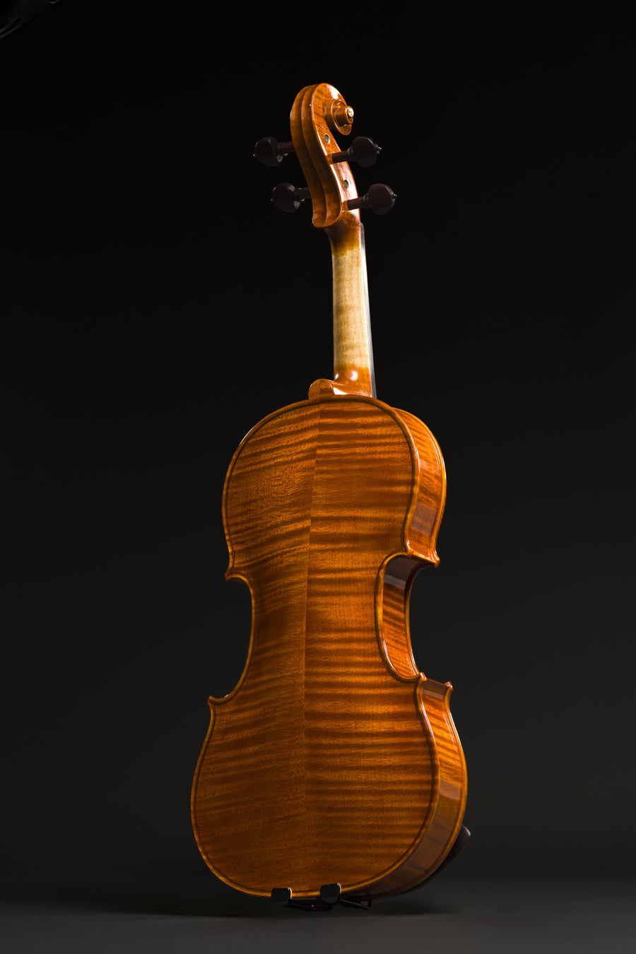 Violino Aurea