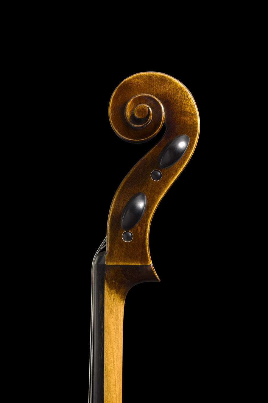 Violoncelo Magnifico