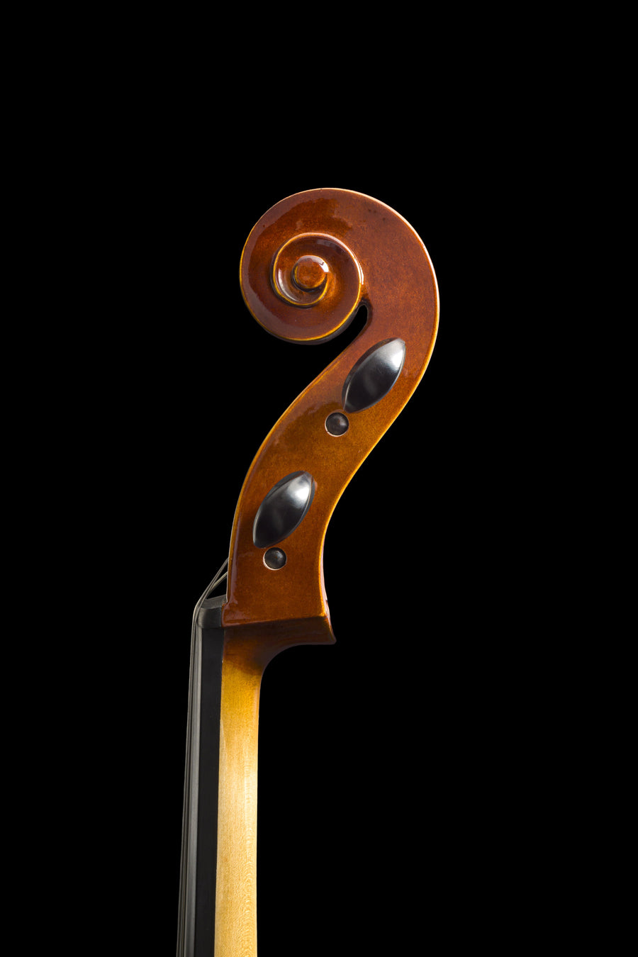 Violoncelo Potenza