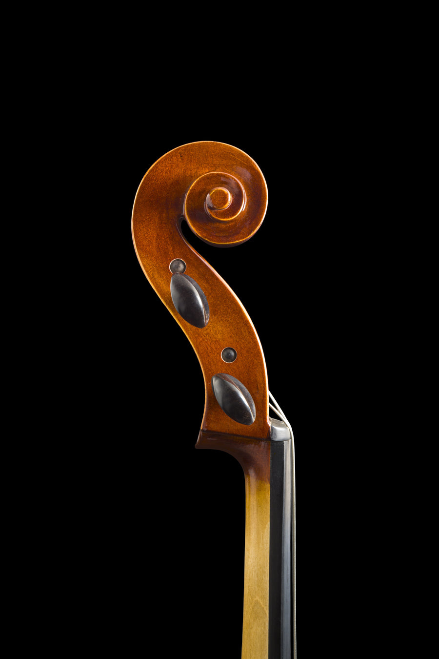 Violoncelo Potenza