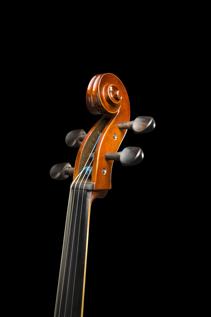 Violoncelo Potenza