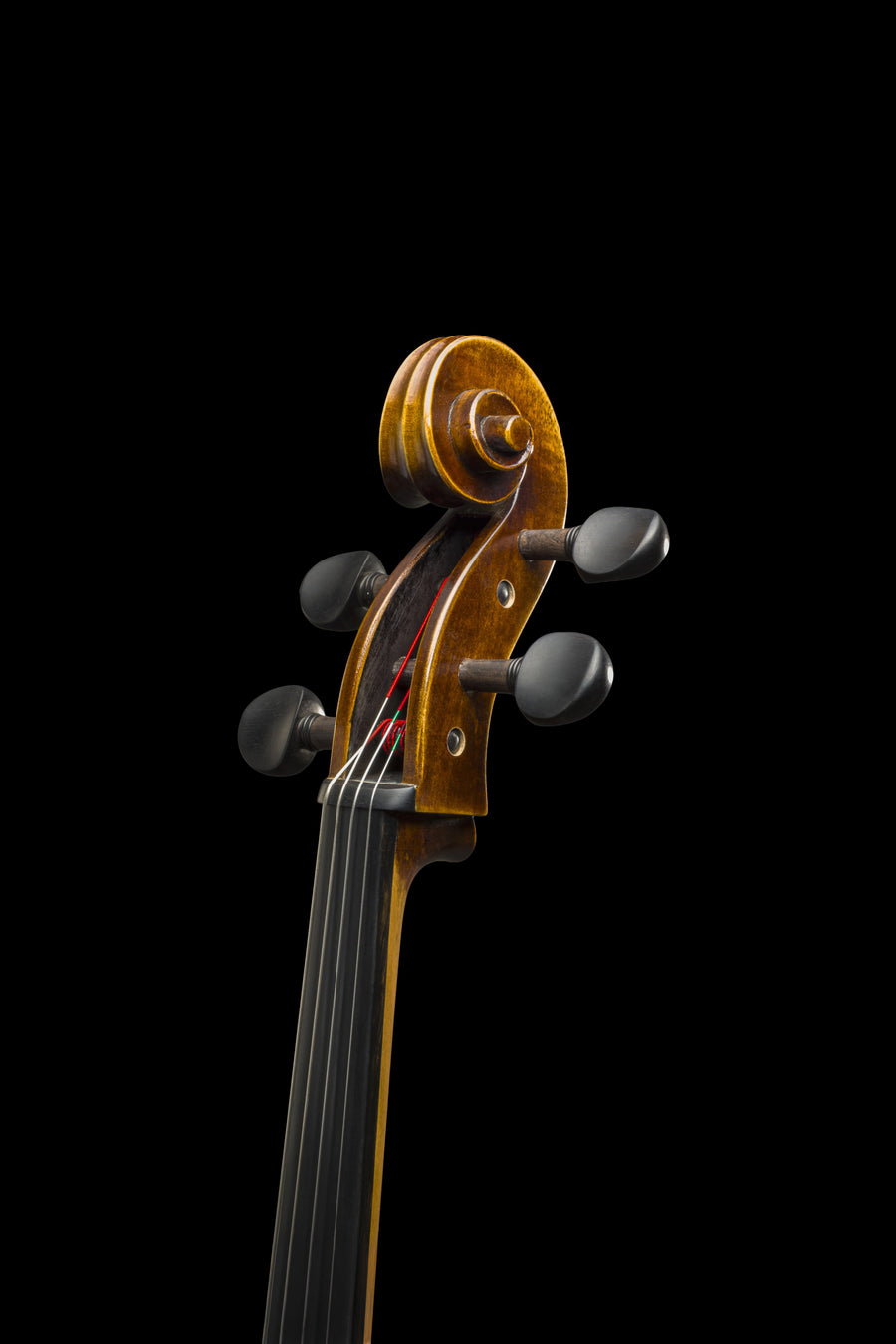 Violoncelo Magnifico