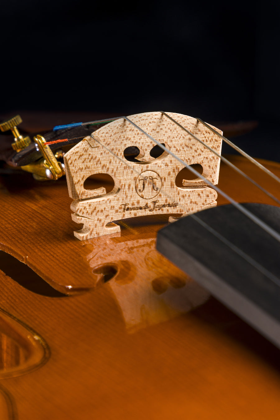 Violino Aurea