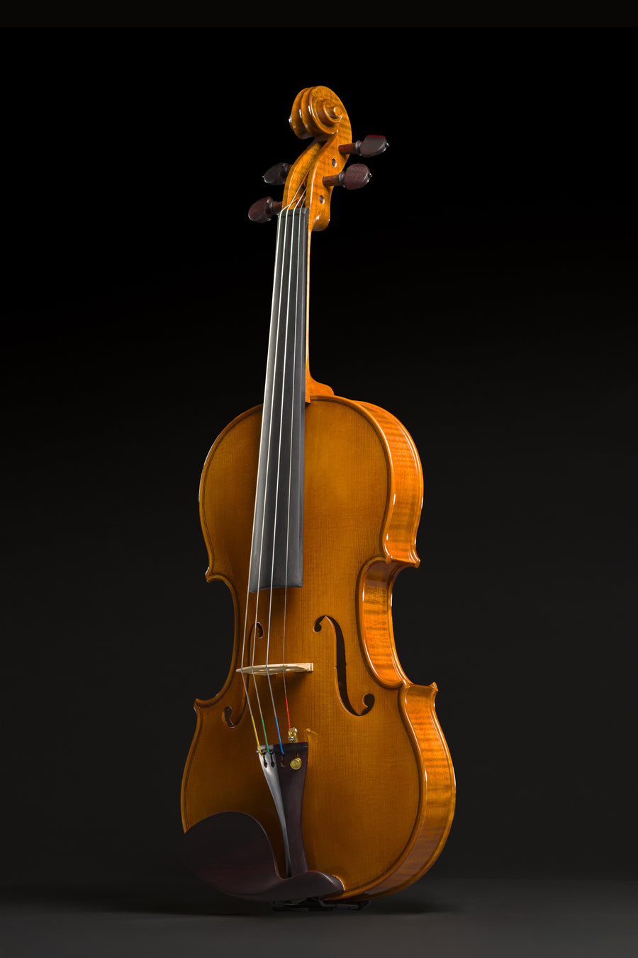 Violino Aurea