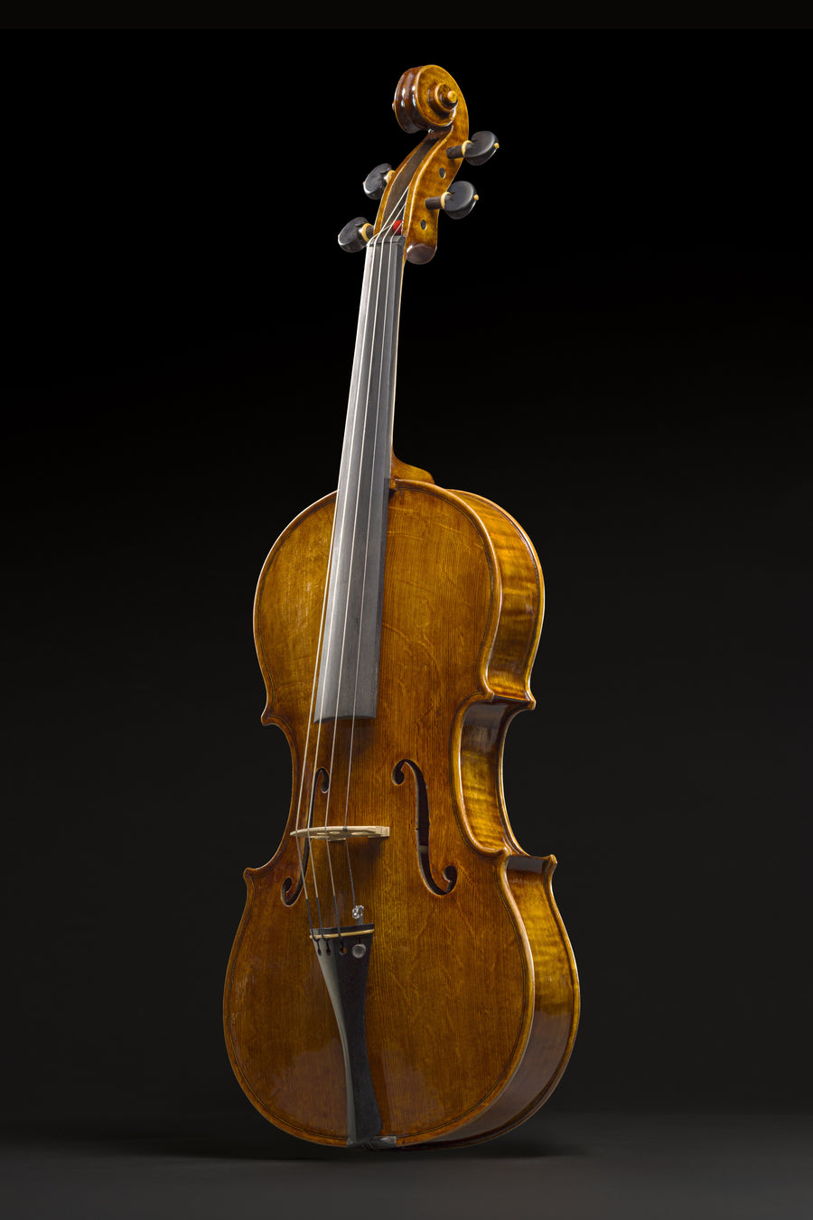 Viola Giovanni Paolo Maggini – foto 3