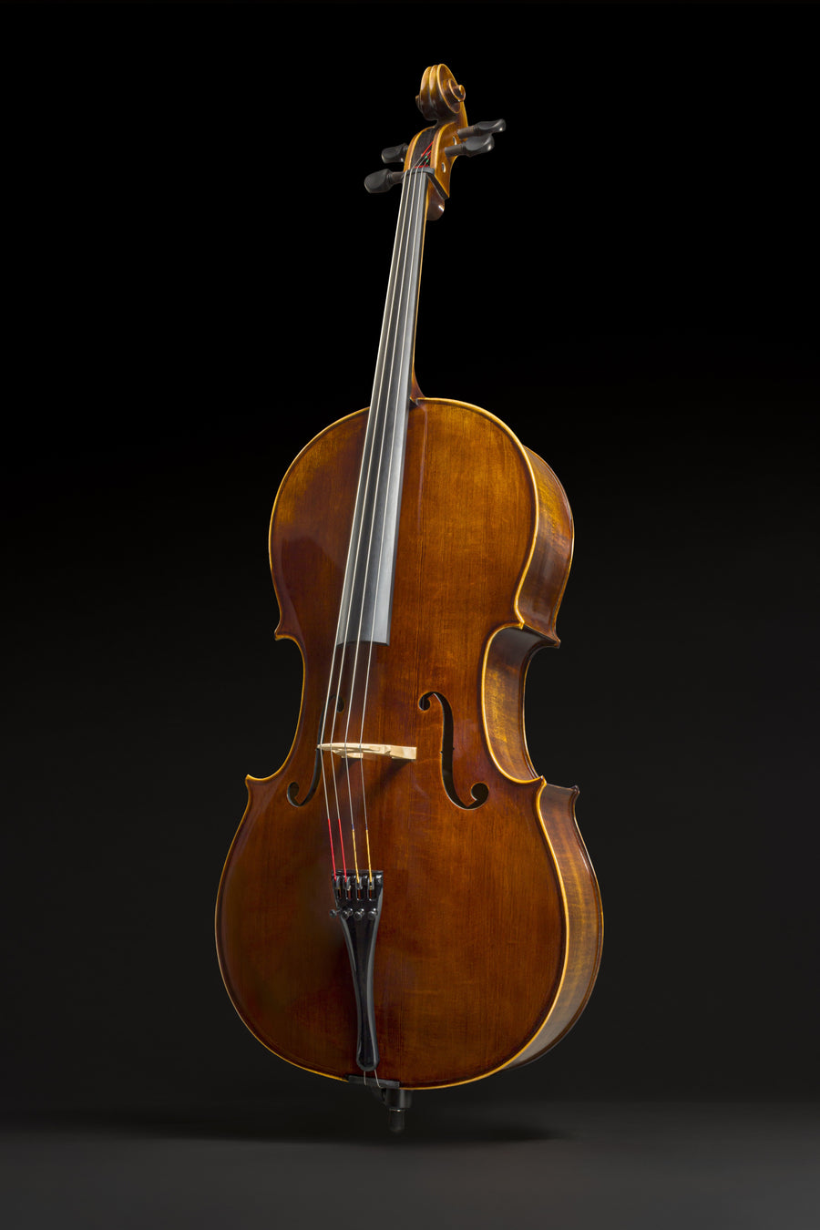 Violoncelo Magnifico
