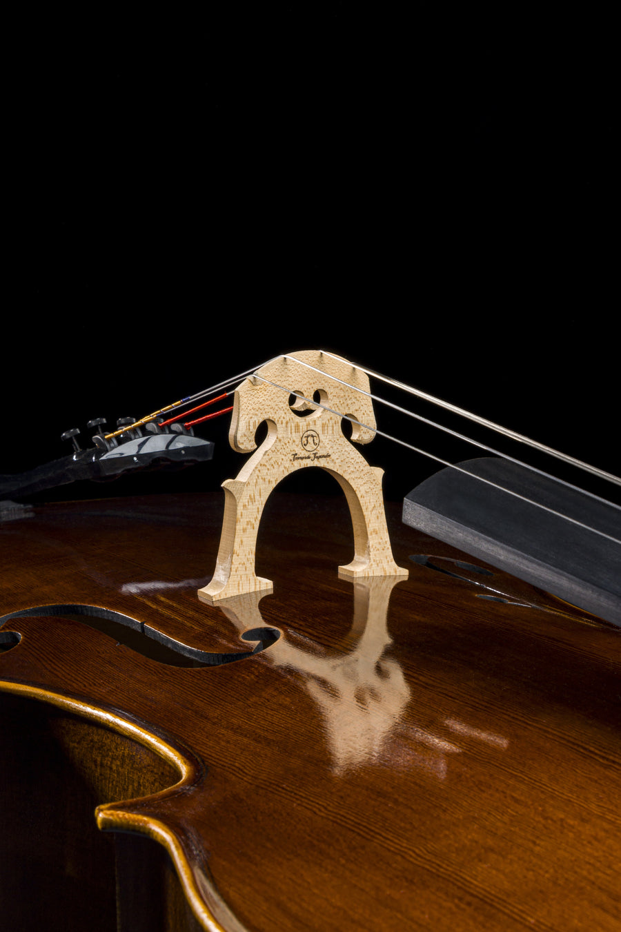Violoncelo Magnifico