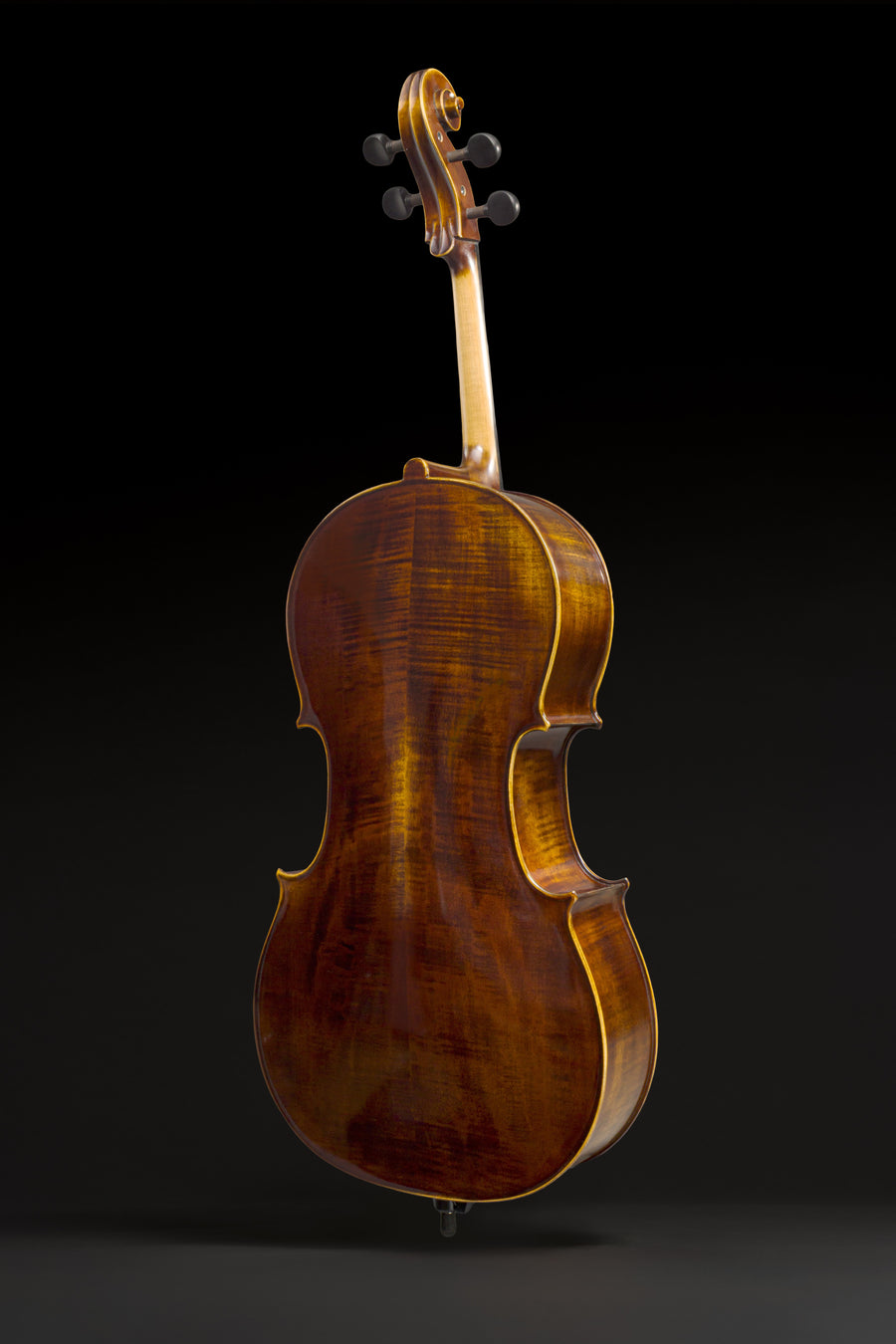 Violoncelo Magnifico