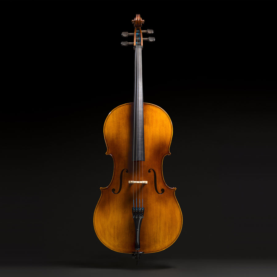 Violoncelo Potenza
