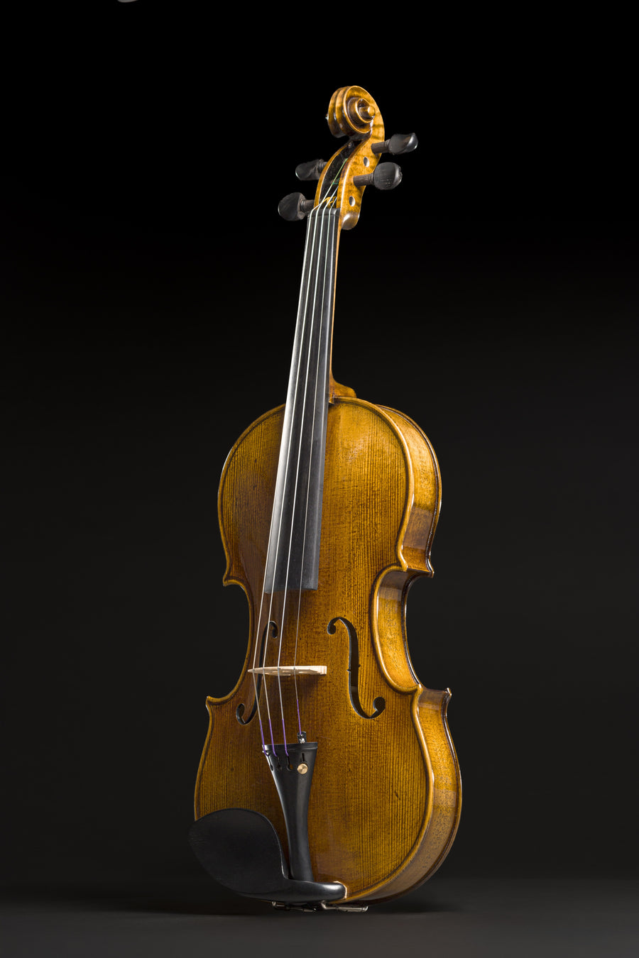 Violino Prestigio