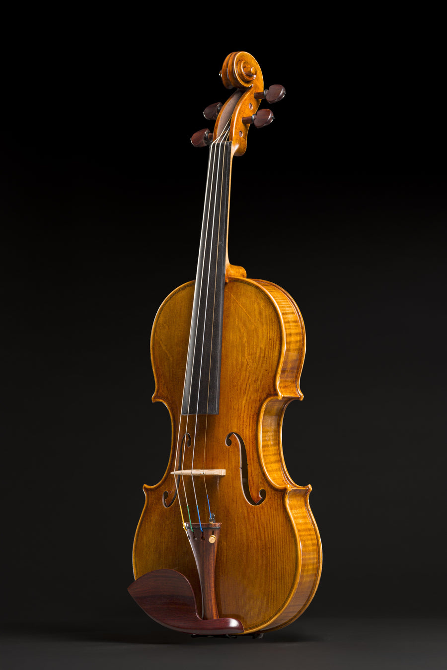 Violino Sublime