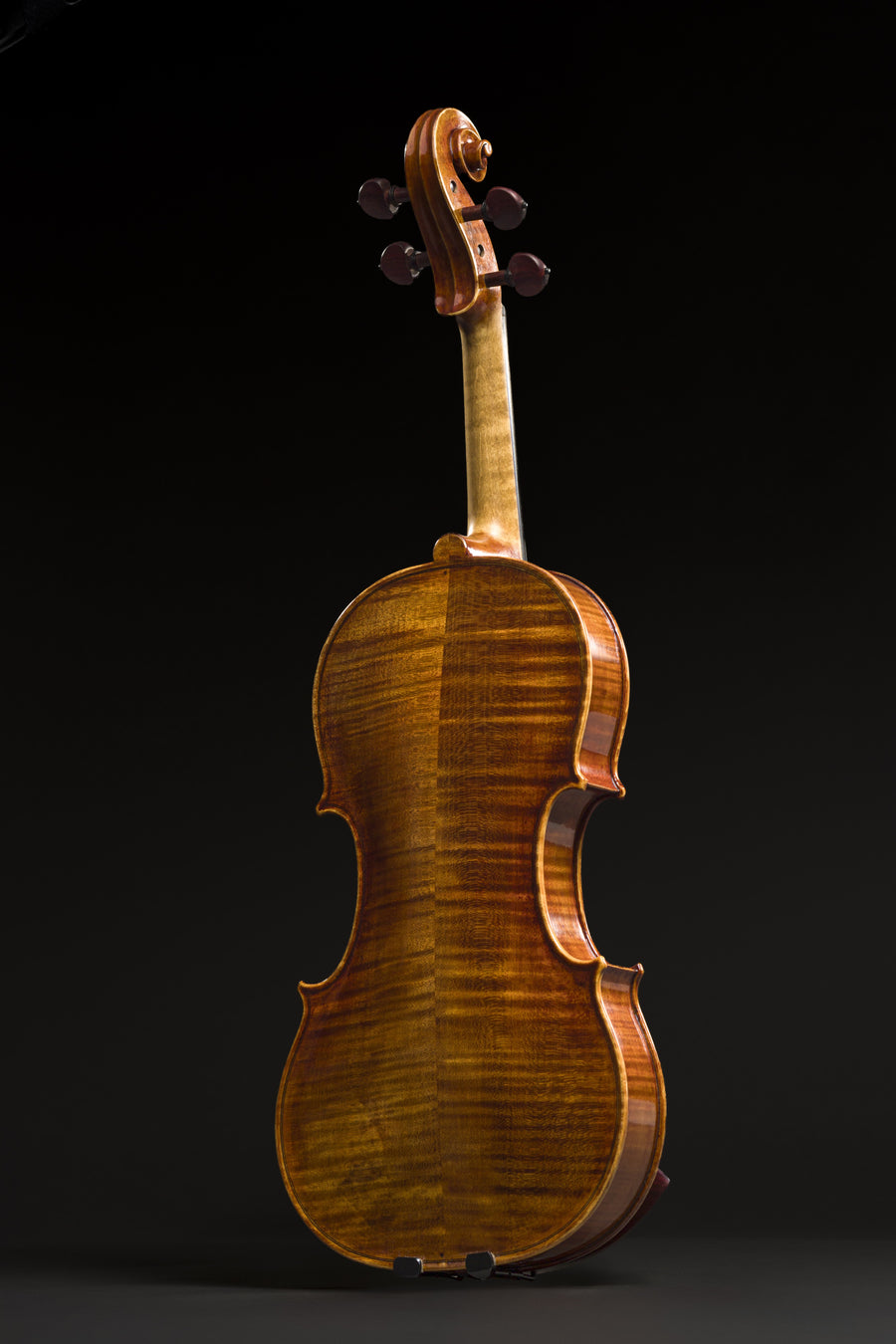 Violino Sublime