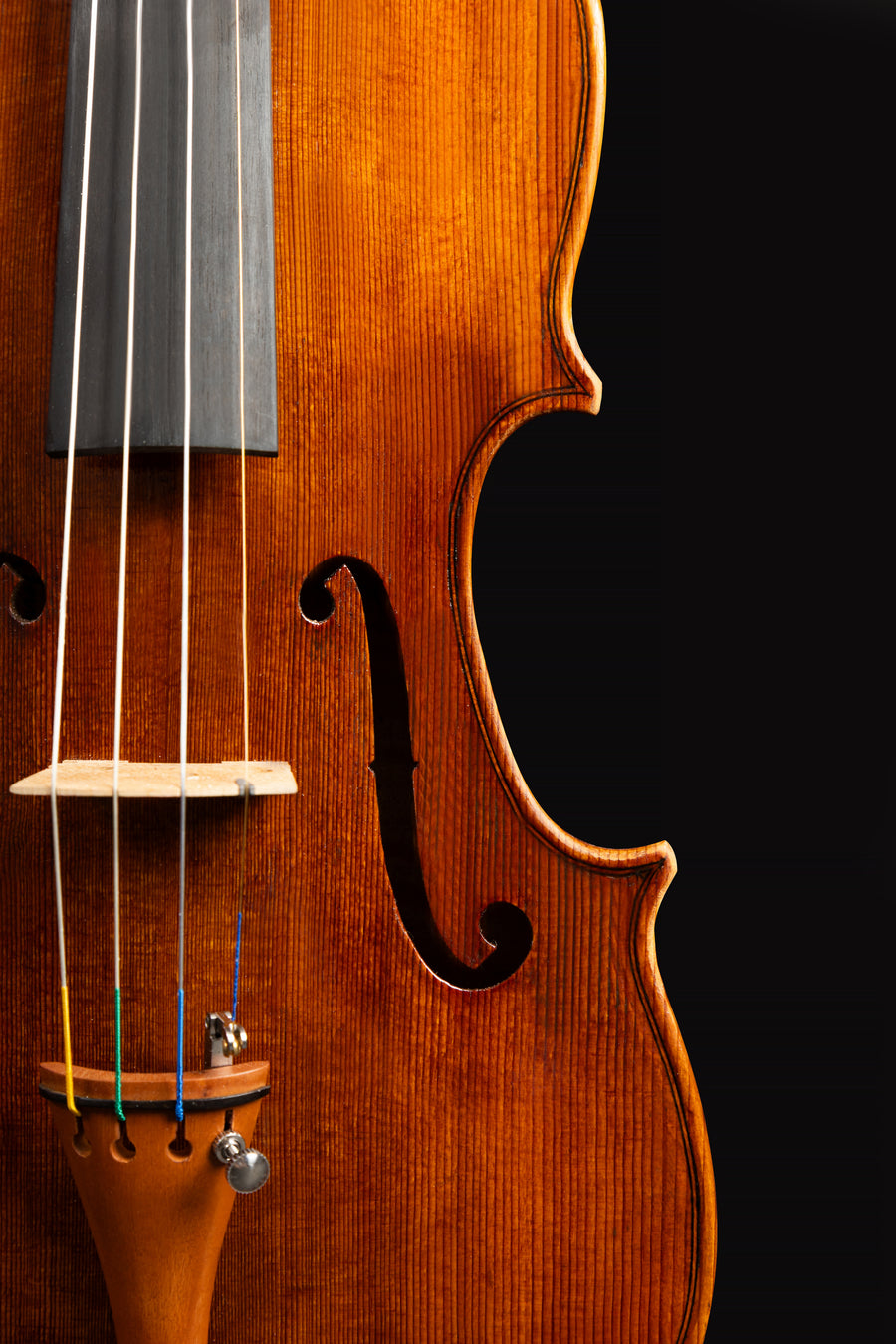Violino Gasparo da Salò – foto 5
