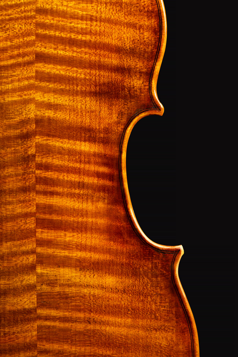 Violino Gasparo da Salò – foto 6