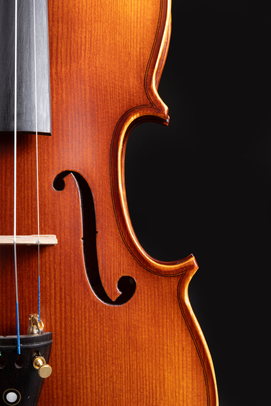 Violino Avventura