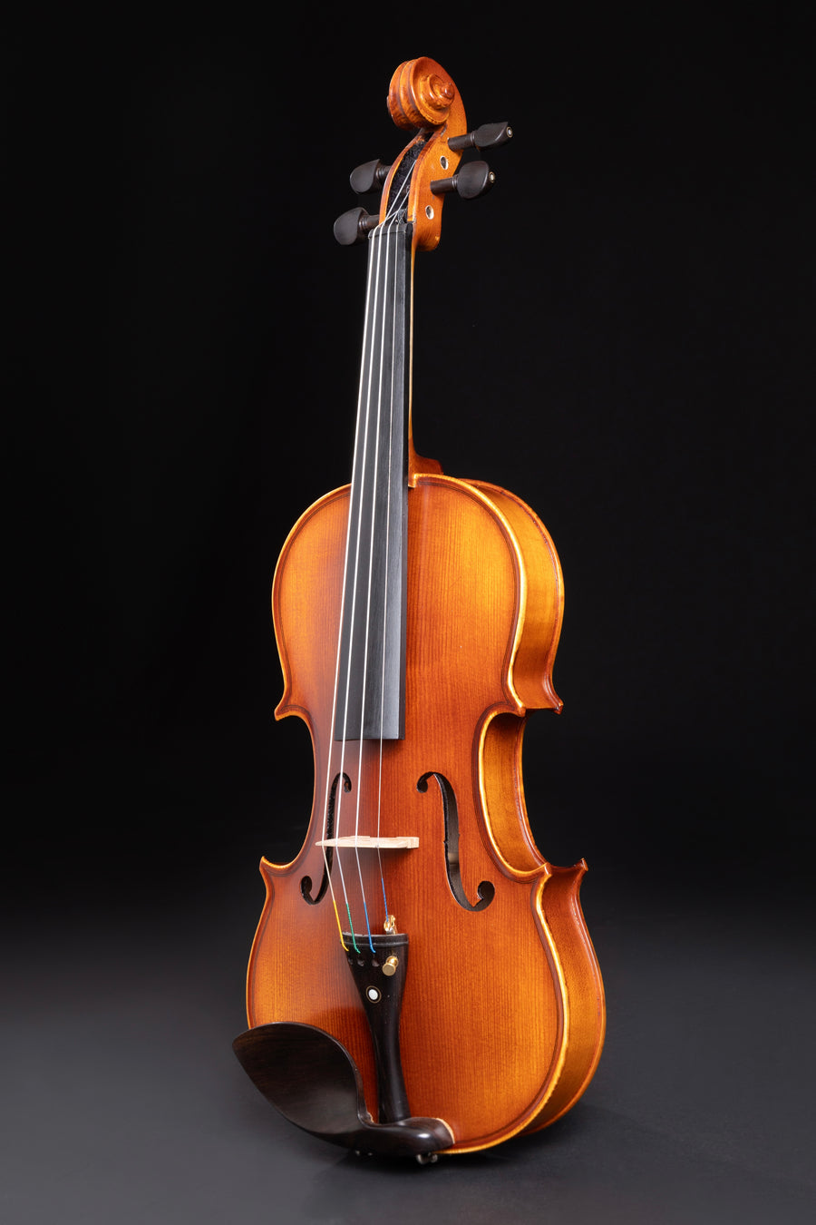 Violino Avventura