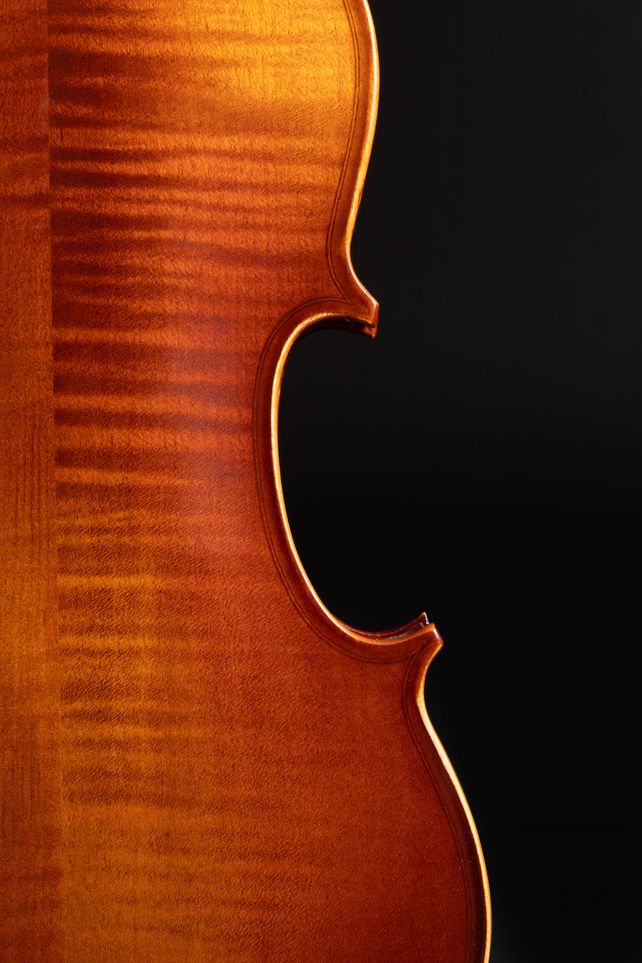 Violino Avventura