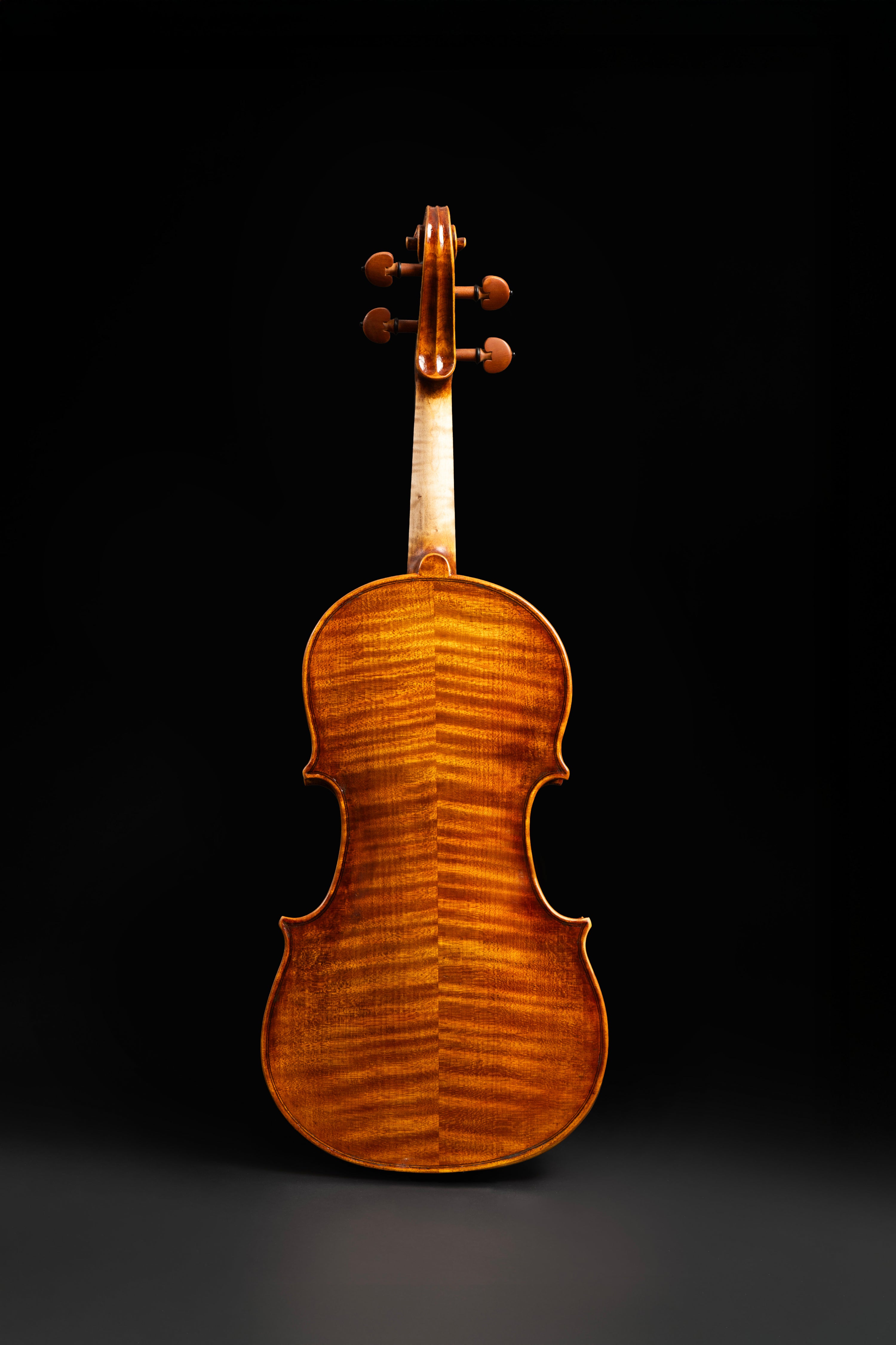 Violino Gasparo da Salò