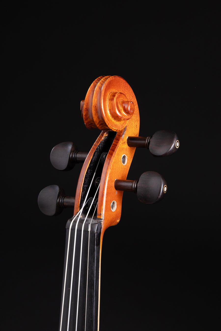 Violino Avventura