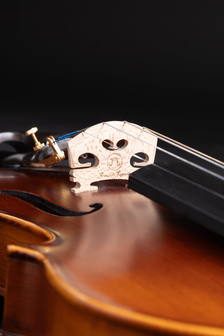 Violino Avventura