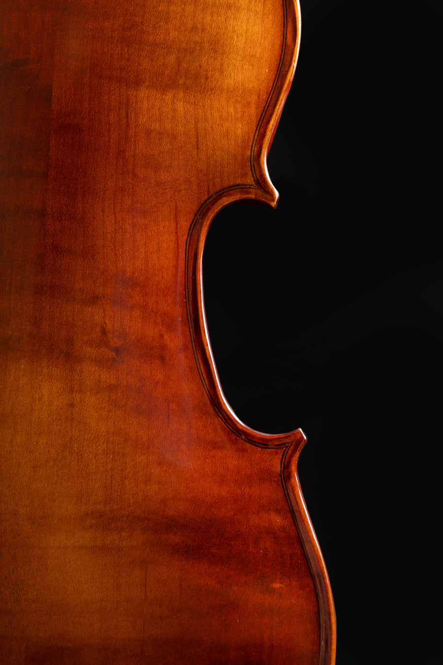 Violino Armonia