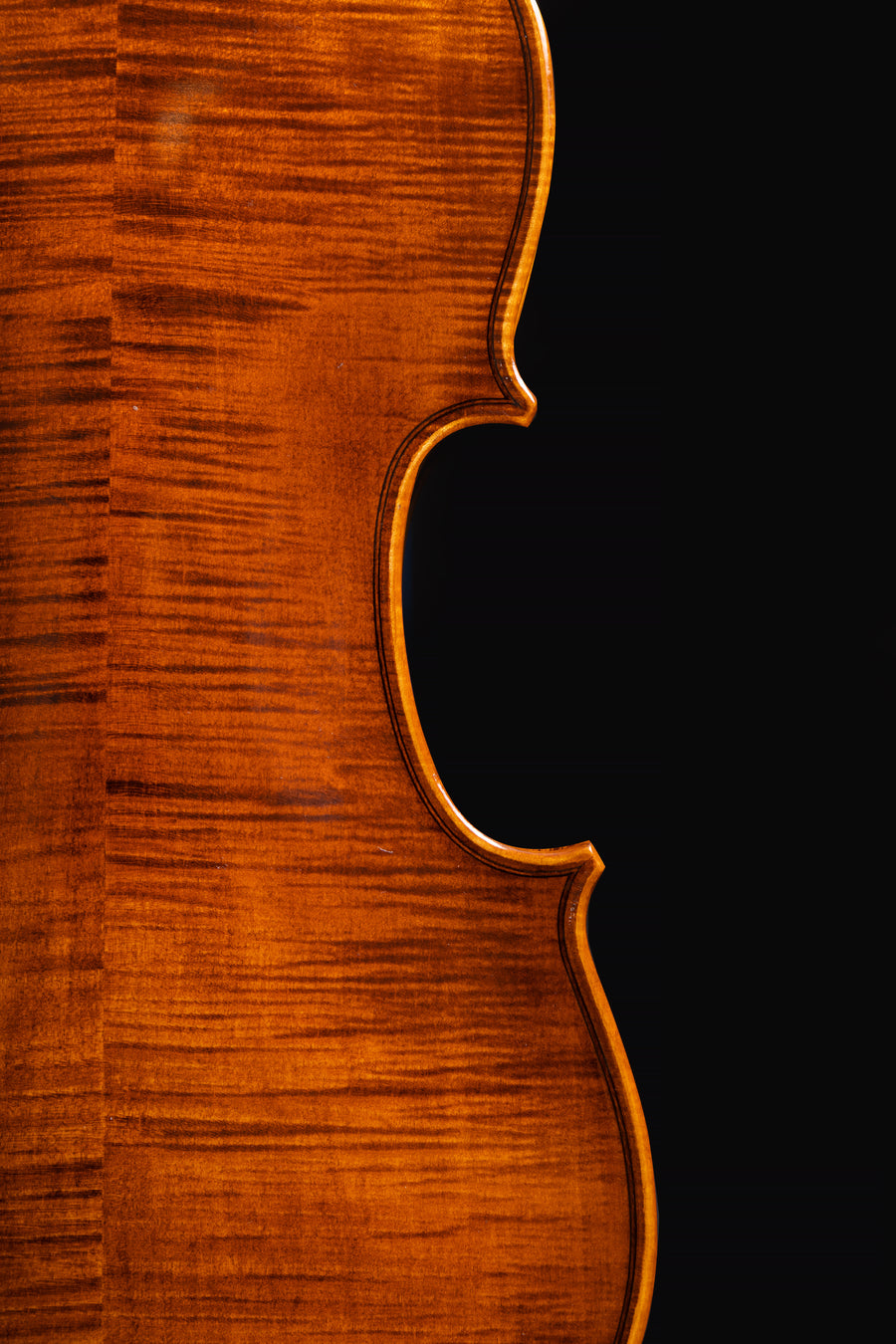 Violino Virtuoso