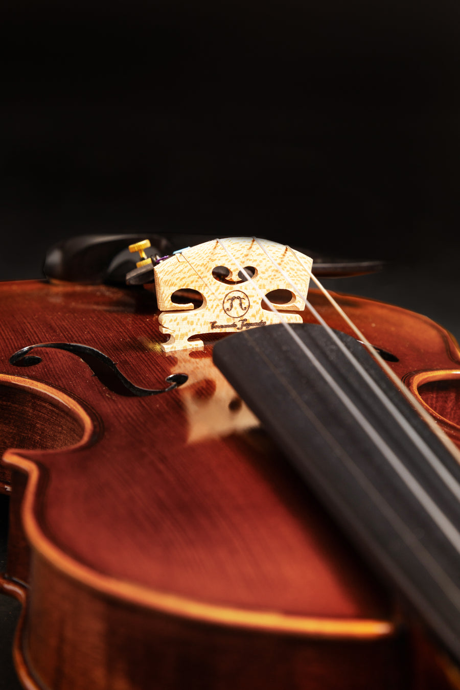 Violino Virtuoso