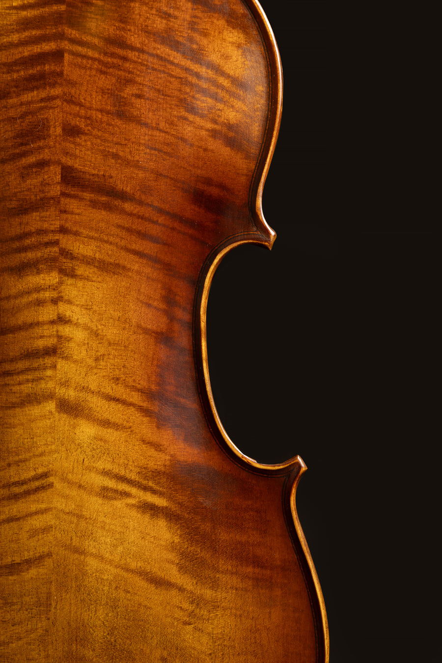 Violino Prezioso