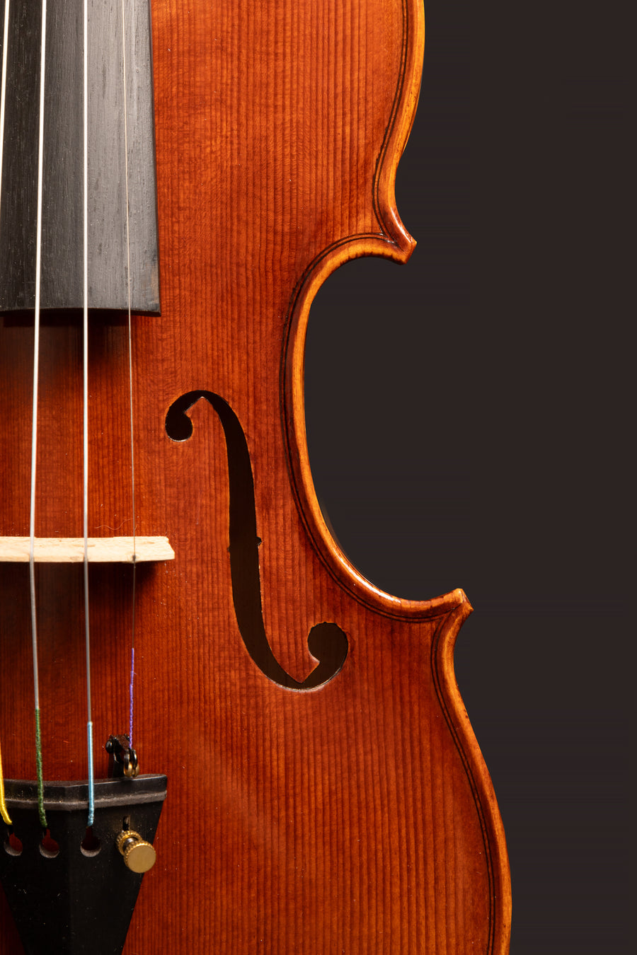 Violino Sogno