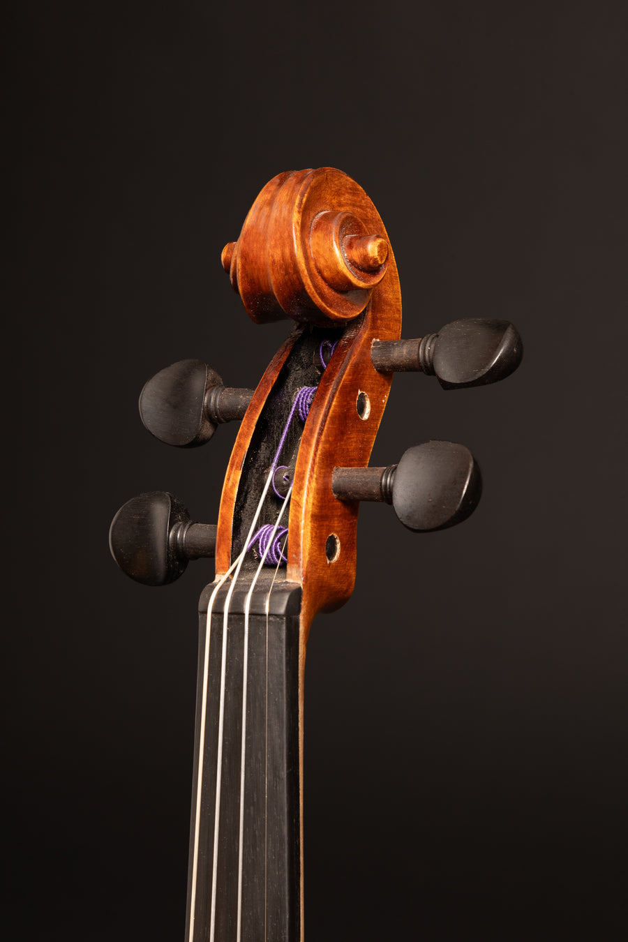 Violino Sogno