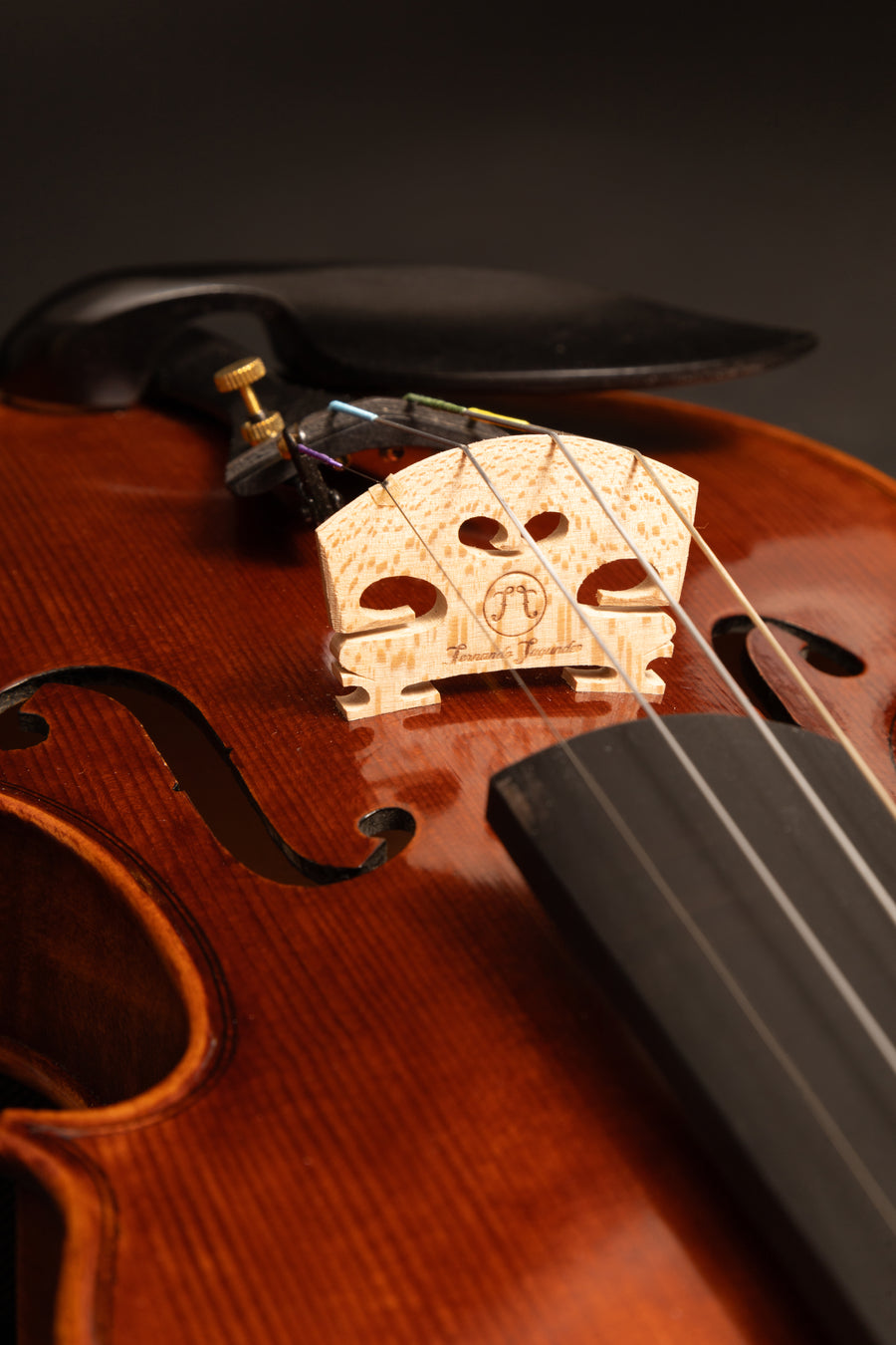 Violino Sogno