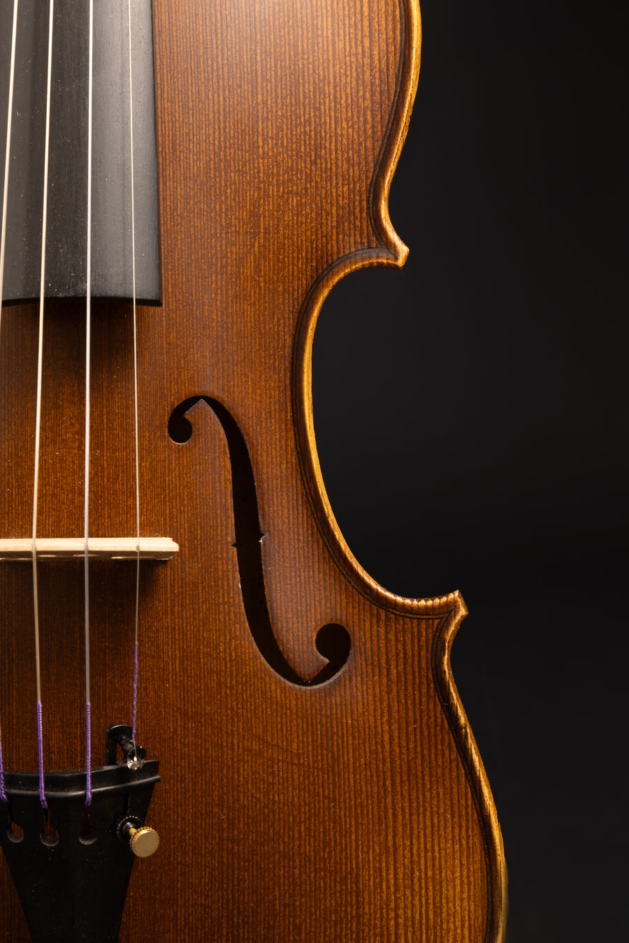 Violino Passione