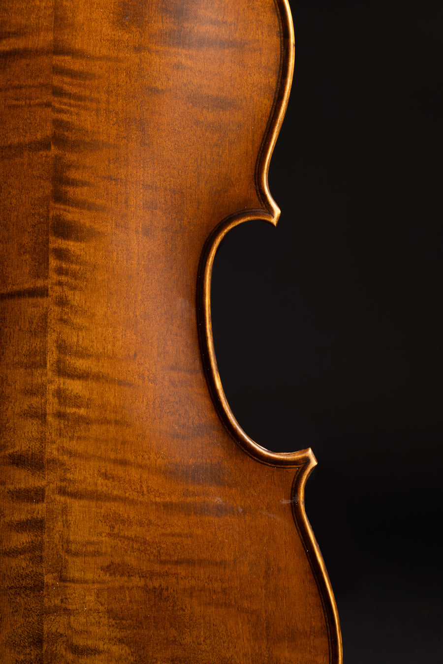 Violino Passione