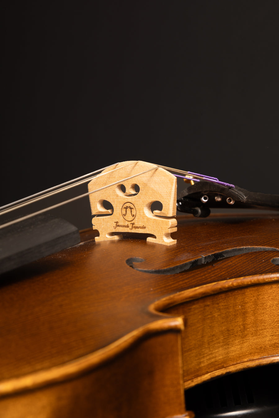 Violino Passione