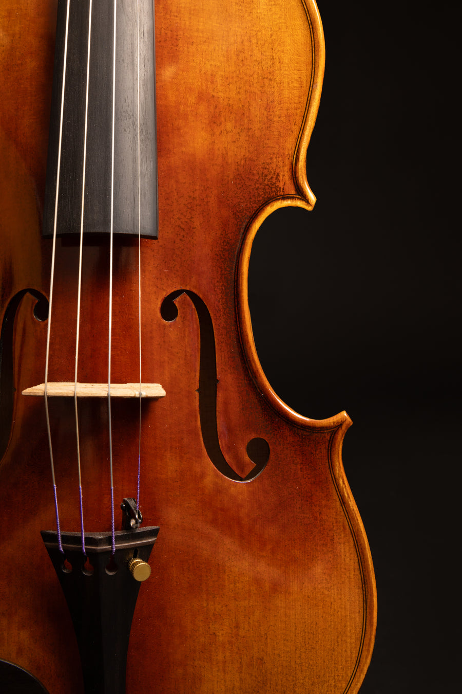 Violino Incanto