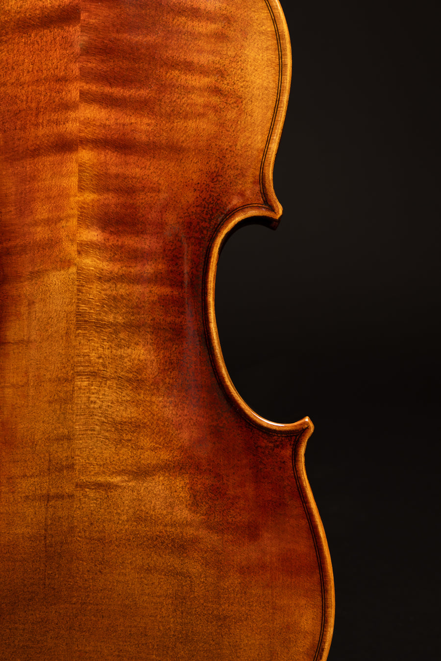 Violino Incanto