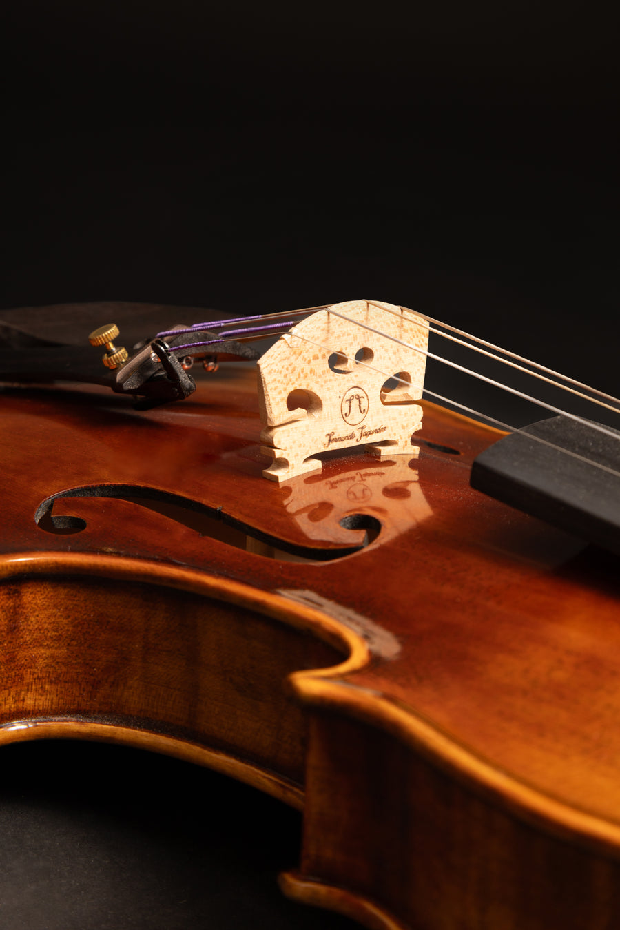 Violino Incanto